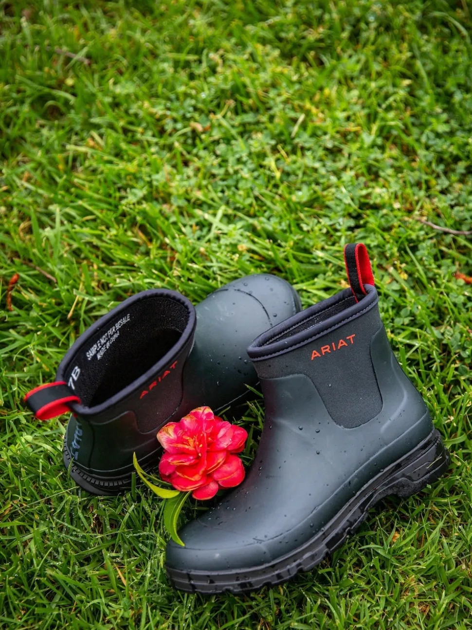 Bleu - Ariat Kelmarsh Shortie Wellies