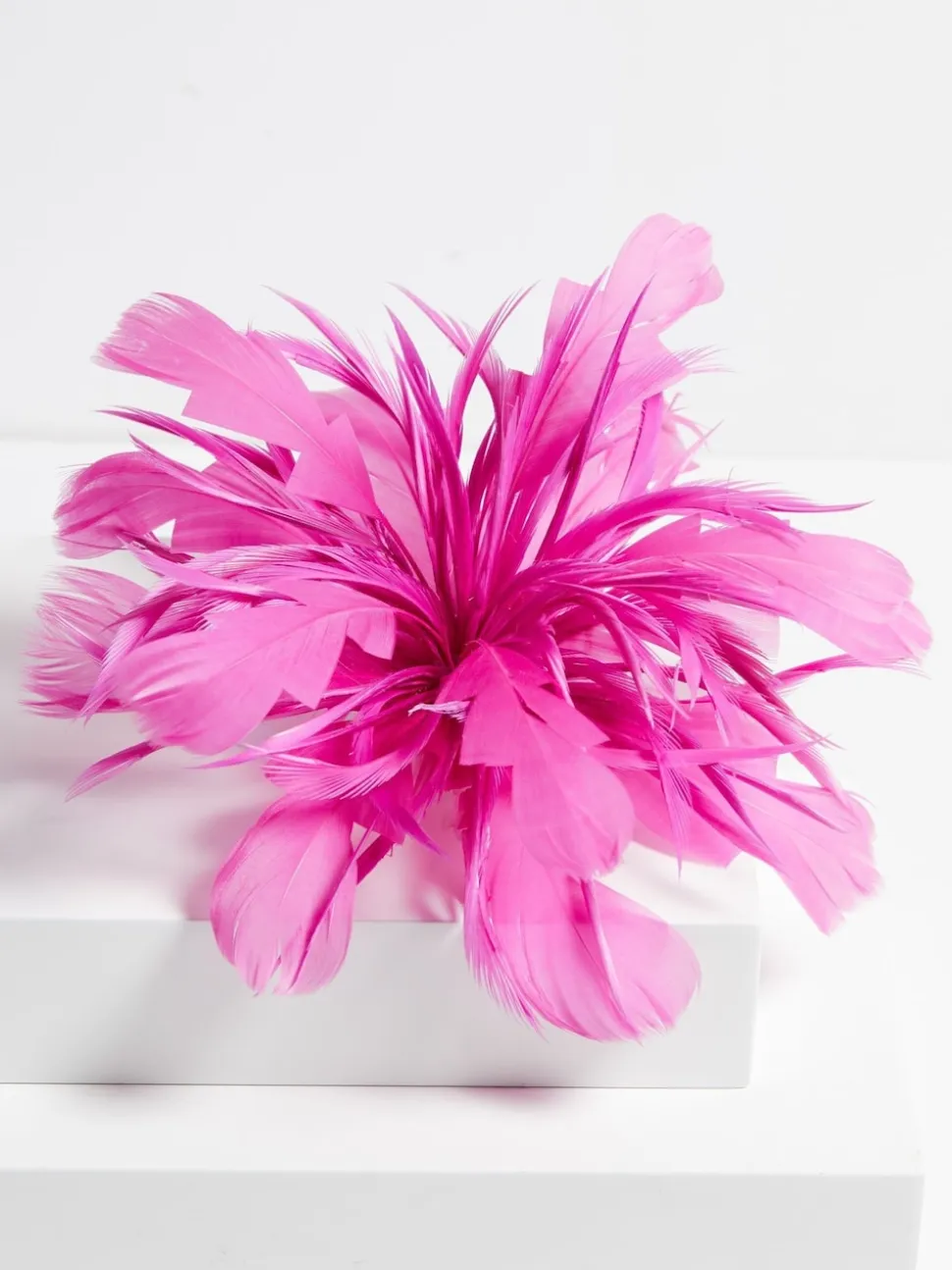Fascinateur Jon Richard Fushia Statement à pince florale