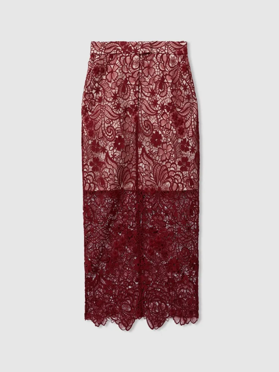 Jupe crayon mi-longue en dentelle transparente Reiss Flo