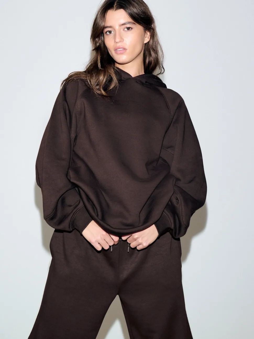 Marron chocolat - Sweat à capuche épais coupe standard décontracté