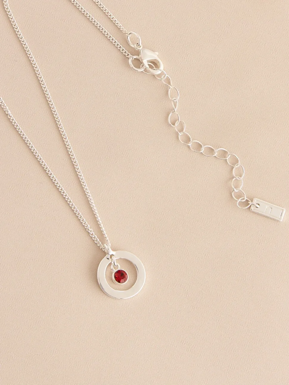 Tonalité argentée - Collier Birthstone avec pendentif disque